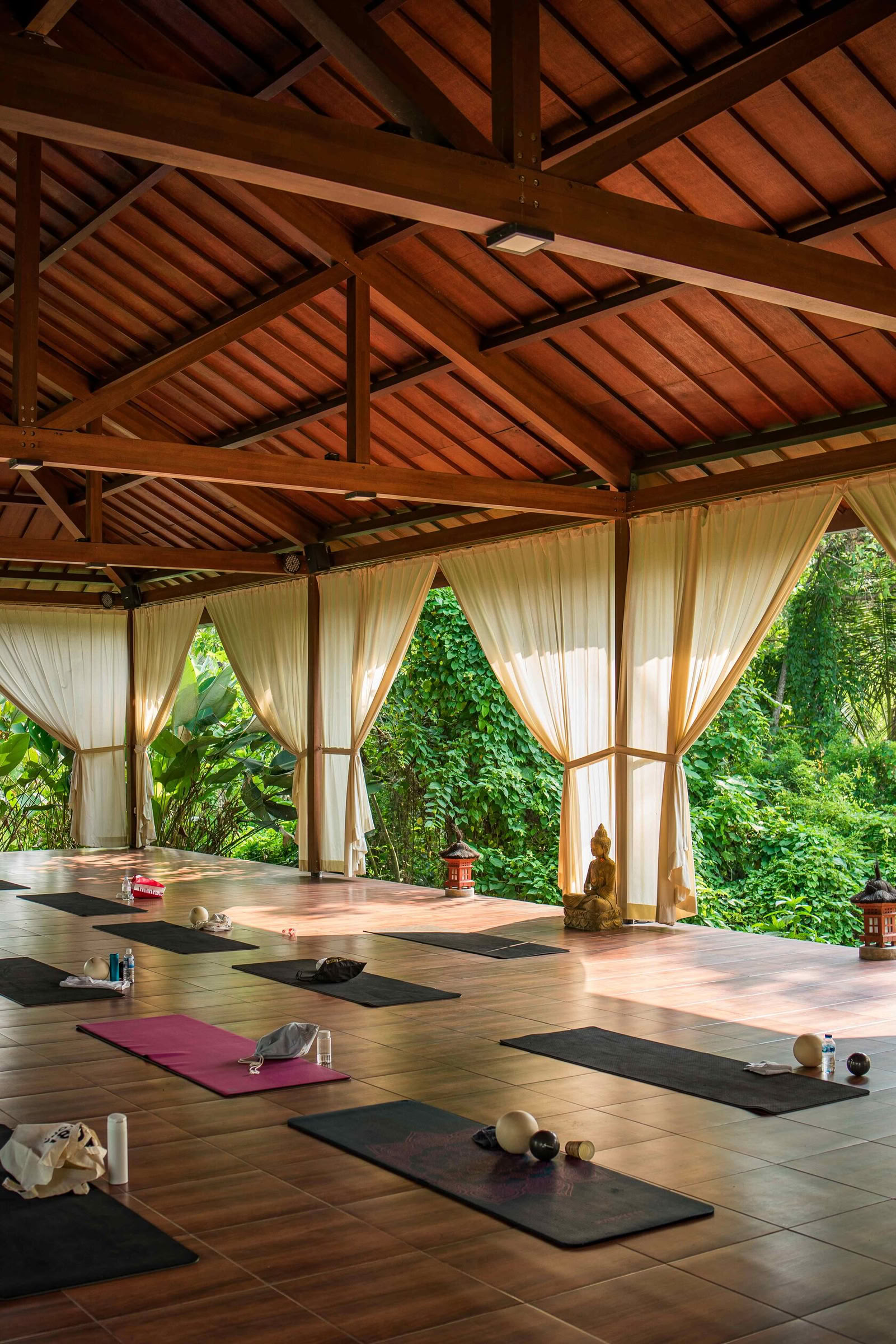 Hatha joga