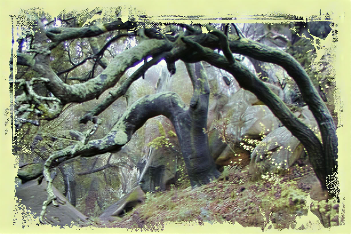 Sanctuary - Asmeninis meditacijos retritas
