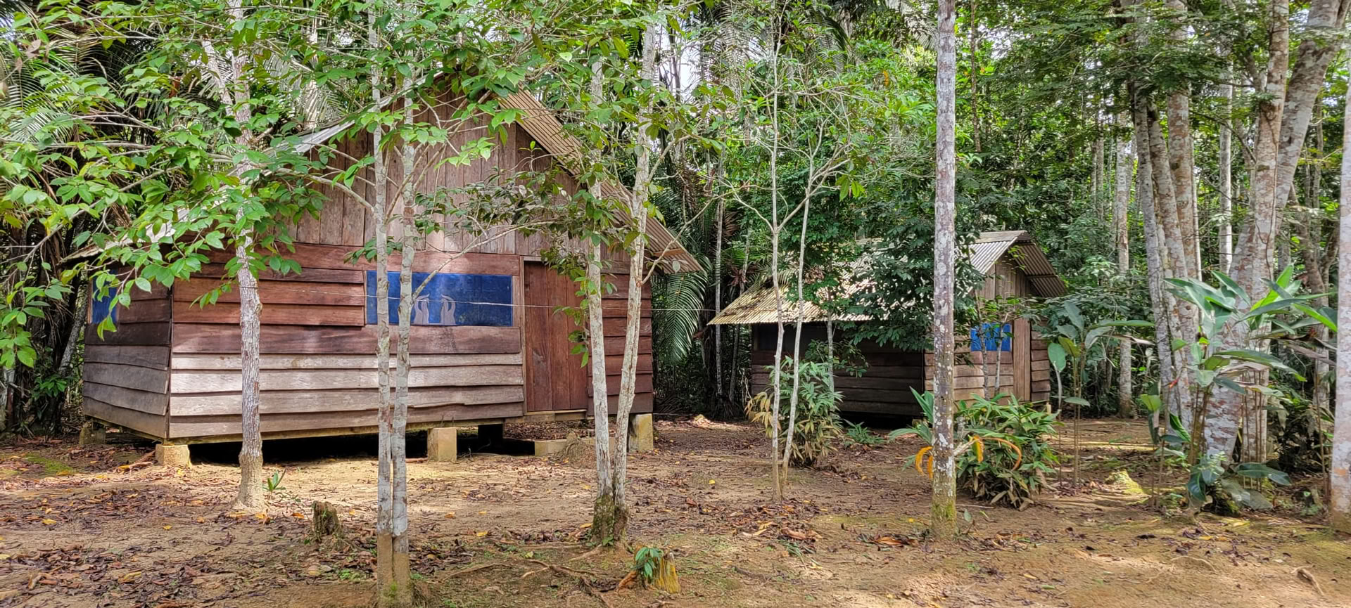 Ayahuasca retritas Iquitos