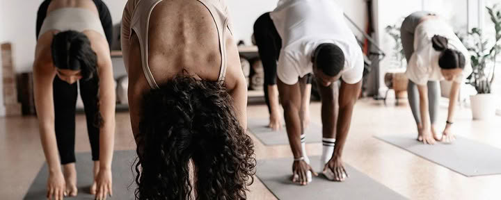 Dao joga (8 kartų abonementas)