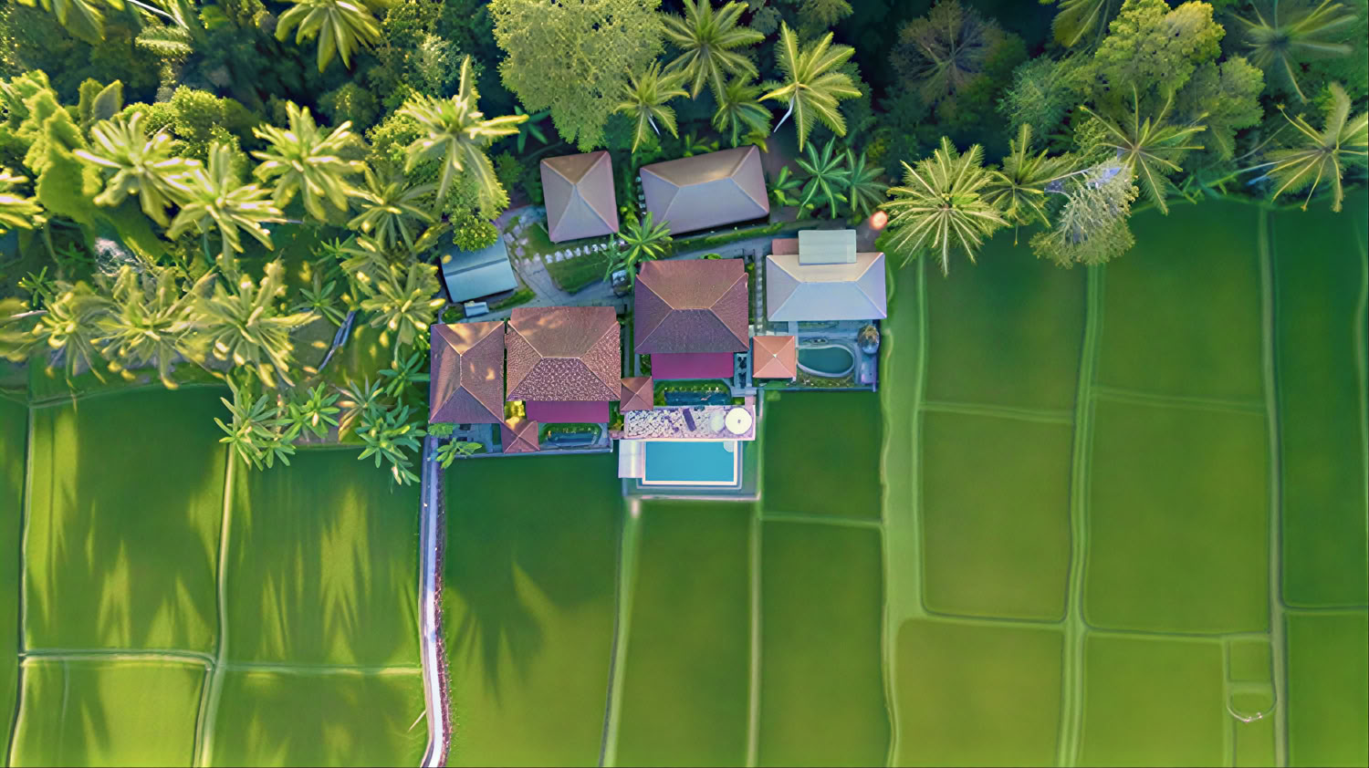 Neužmirštamas 7 dienų jogos retritas Firefly Retreat Bali