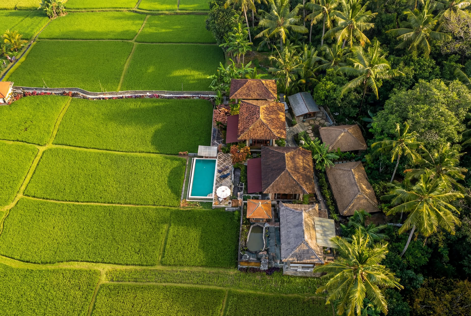 Neužmirštamas 7 dienų jogos retritas Firefly Retreat Bali