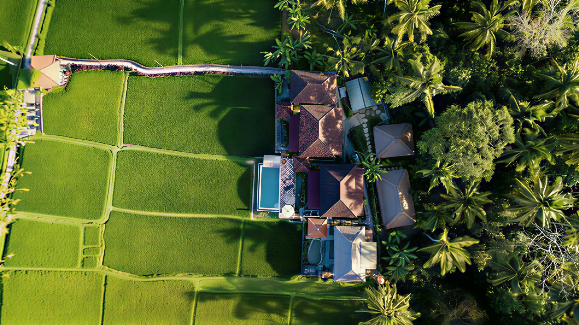 Neužmirštamas 7 dienų jogos retritas Firefly Retreat Bali
