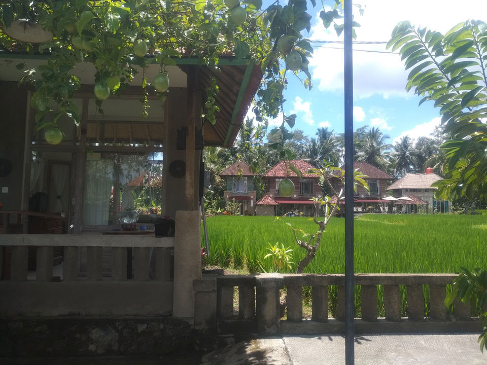 Neužmirštamas 7 dienų jogos retritas Firefly Retreat Bali