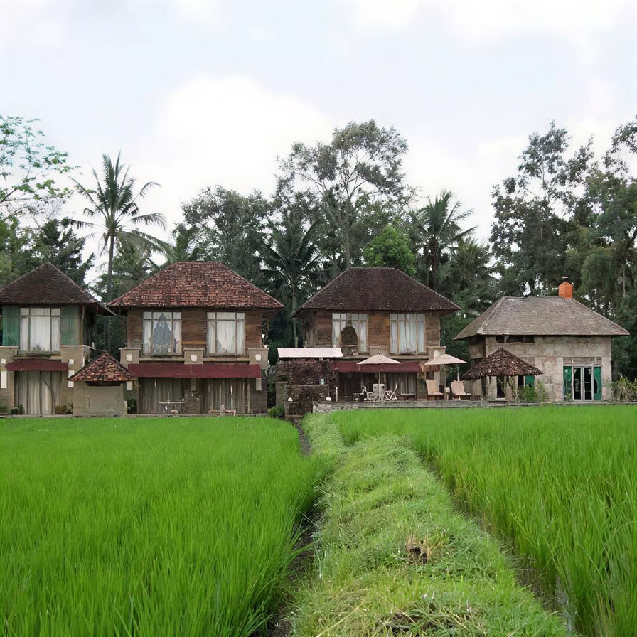 Neužmirštamas 7 dienų jogos retritas Firefly Retreat Bali