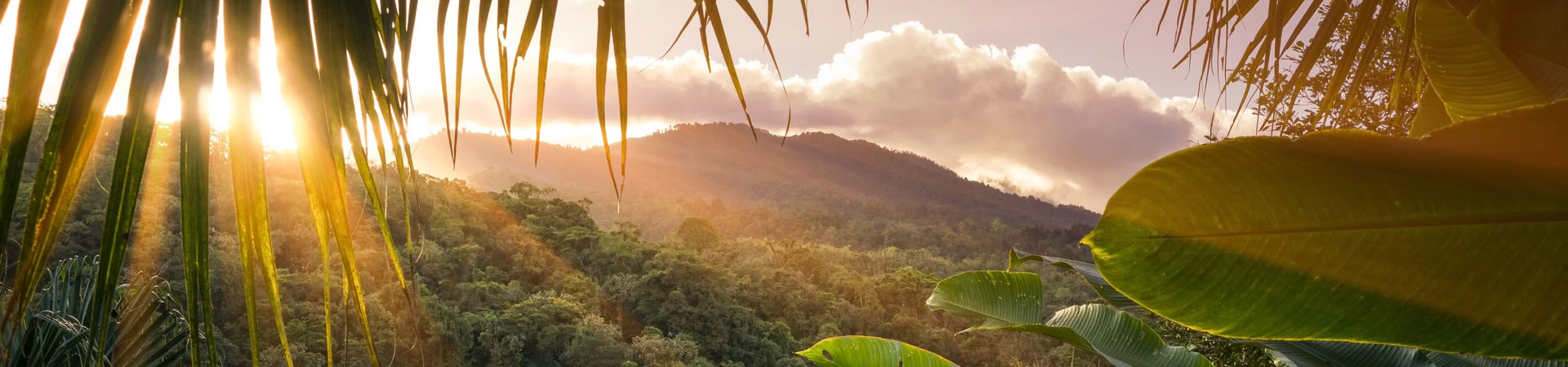Manuel Antonio nacionalinio parko dienos turas