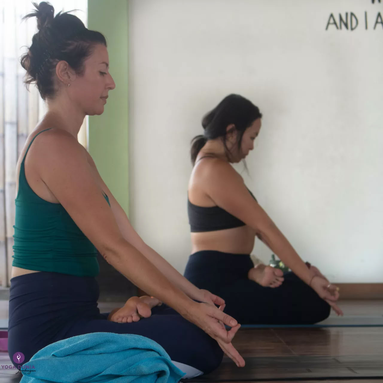 Savaitgalio seminaras: aerial joga