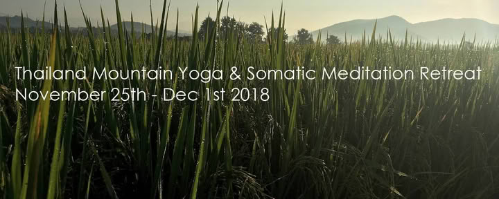 Somatinės meditacijos jogos retritas Čiangmajus, Tailandas