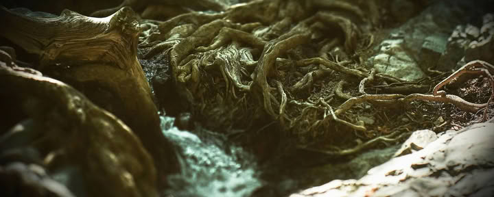Dykumos retritai