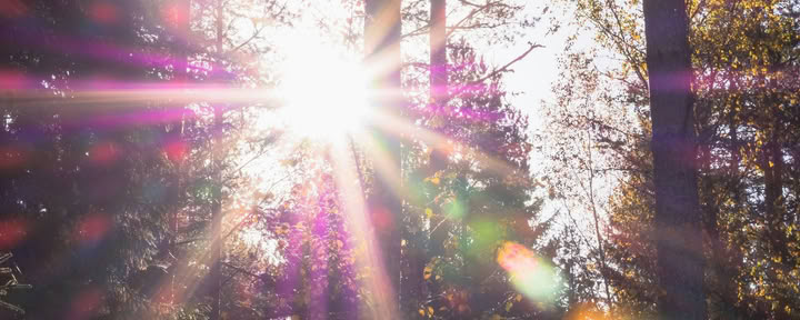 Sistertalk Retreats - VĖLYVOS VASAROS ŠVYTĖJIMAS: Mineralų/Gamtos elemento retritas — Wild Nature Retreats