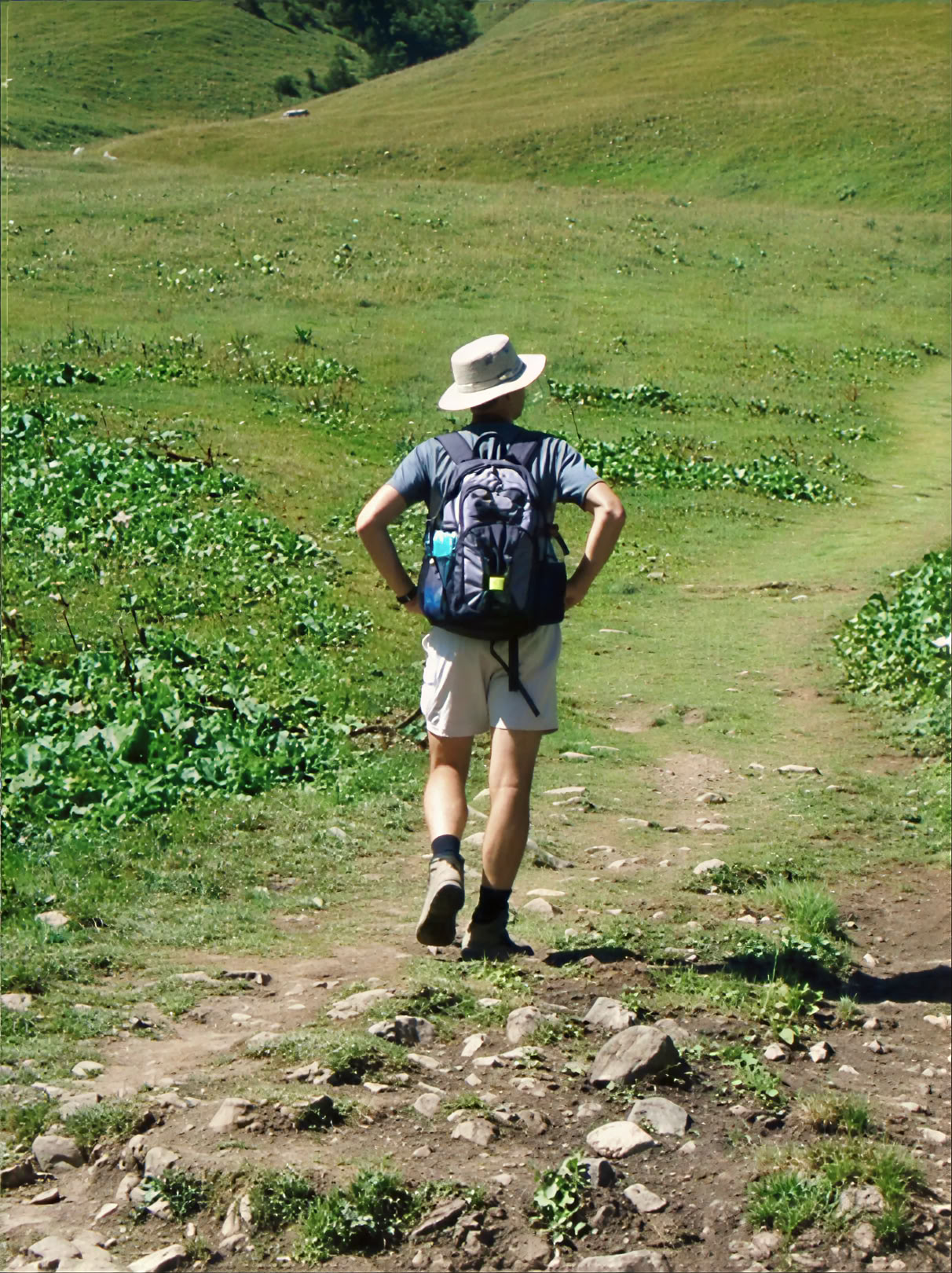 Pasivaikščiokite ir išsklaidykite liūdesį