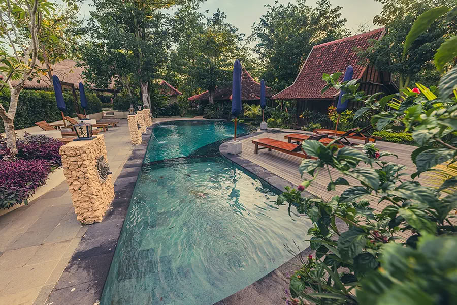 Lucidflow 100 val. iš 300 val. YTT - Jogos mokytojų rengimas Balyje