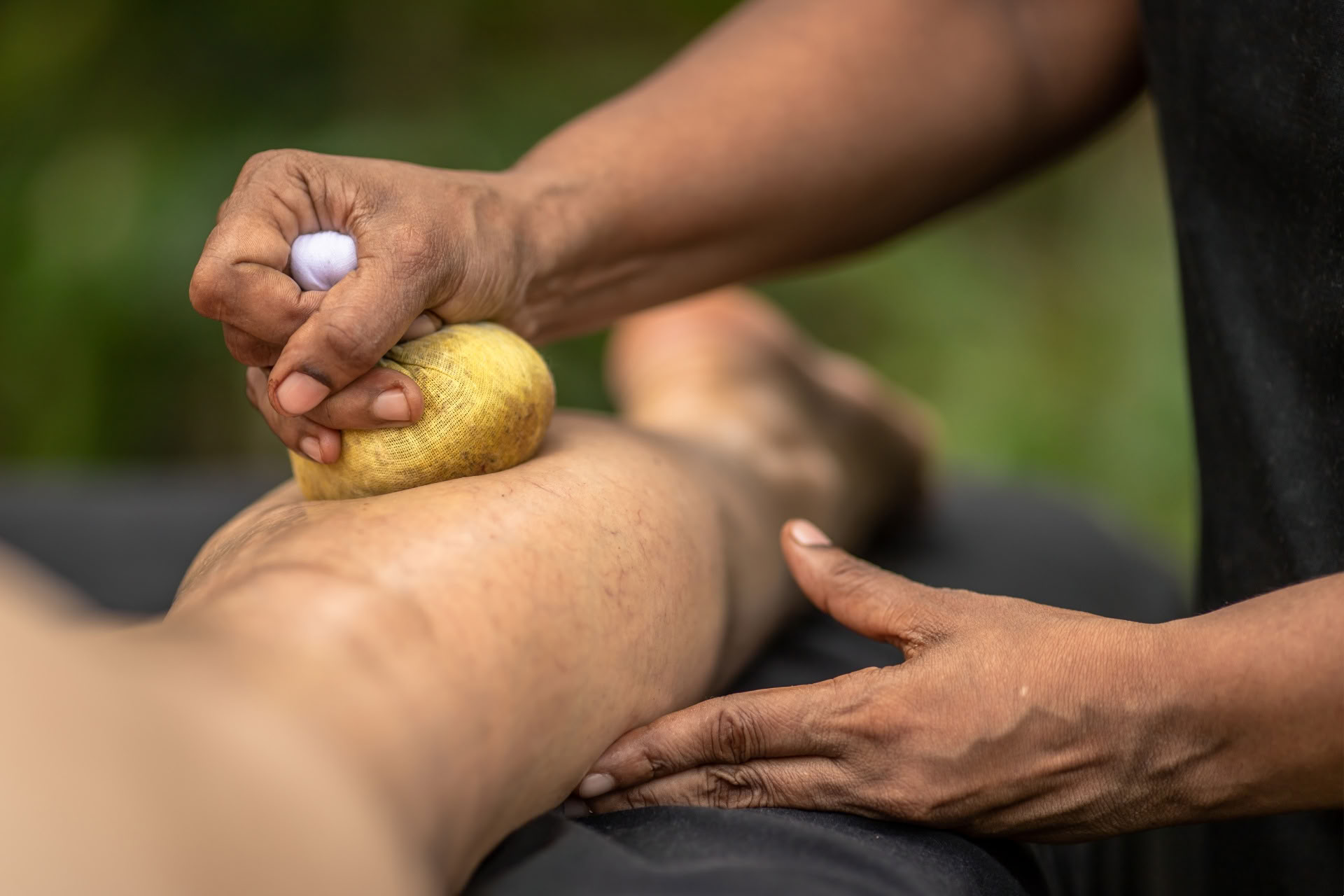 10 dienų kursas: tapkite ajurvedos terapeutu, Šri Lanka