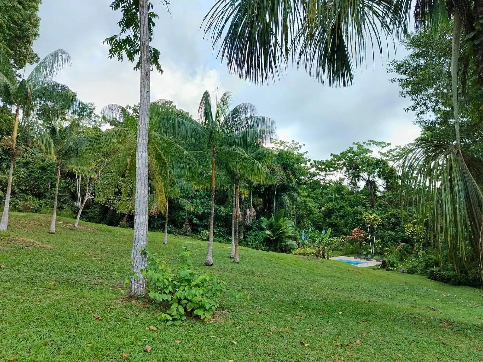 5 dienų ayahuasca ir san pedro retritas