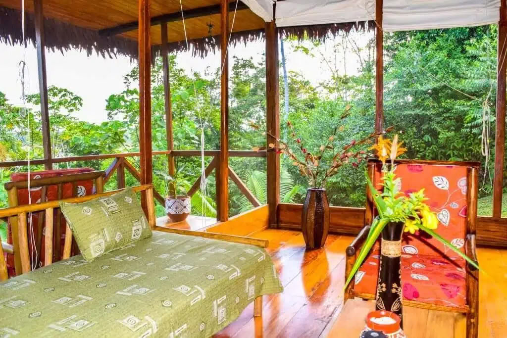 5 dienų ayahuasca ir san pedro retritas