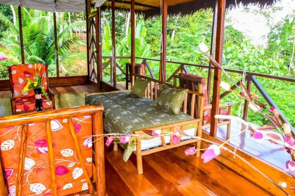5 dienų ayahuasca ir san pedro retritas