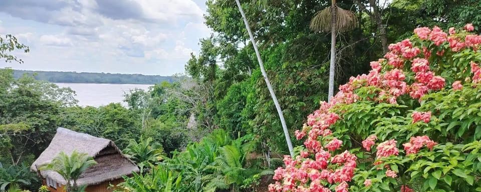 5 dienų ayahuasca ir san pedro retritas