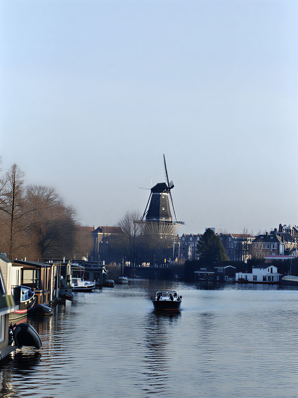 21 dienų privatus psilocibino mikdozavimo retritas Amsterdame