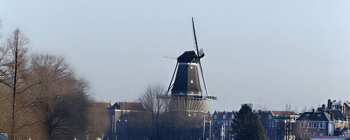 21 dienų privatus psilocibino mikdozavimo retritas Amsterdame