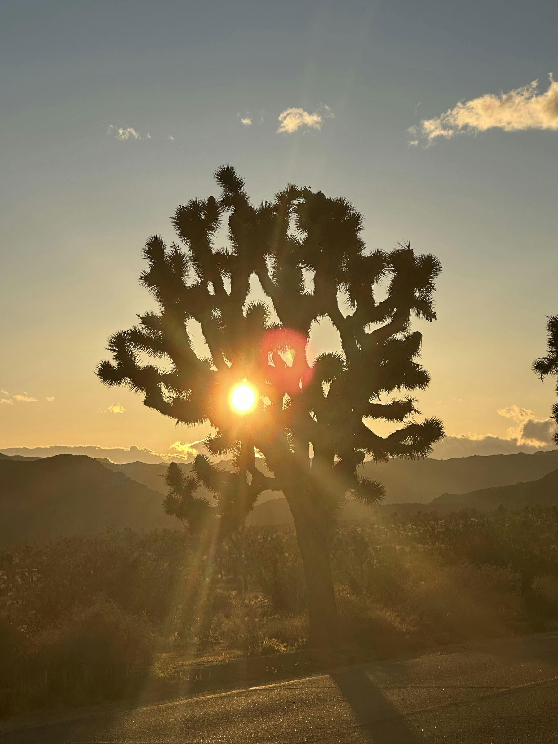 „Dykumos gydymo kvėpavimo praktikų patirtis – Palm Springs“