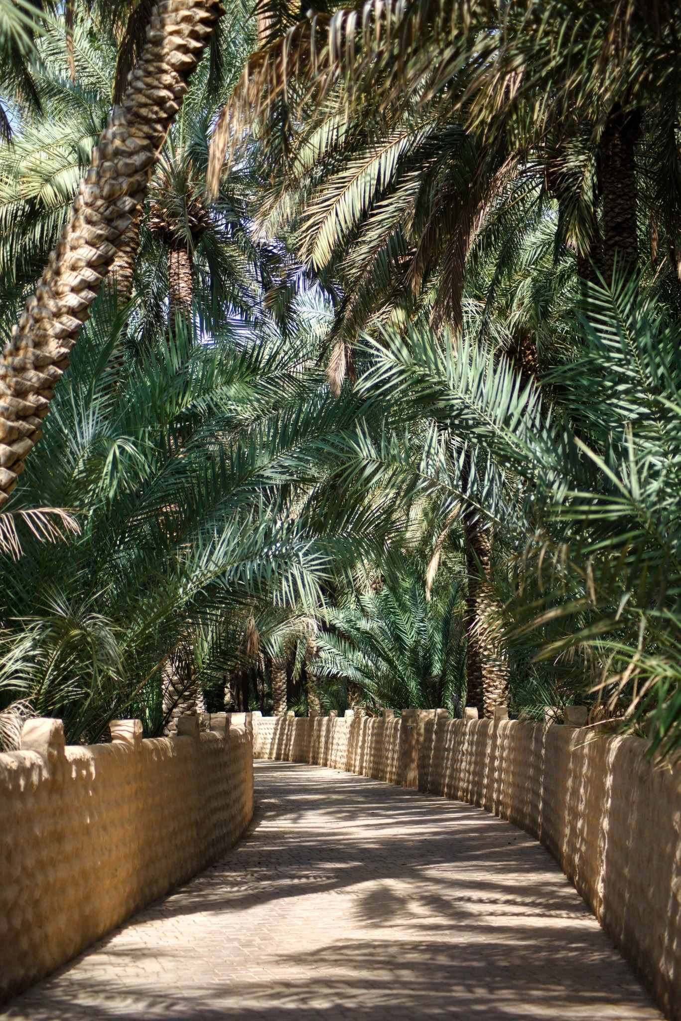„Lyderių suderinimo patirtis – Palm Springs“