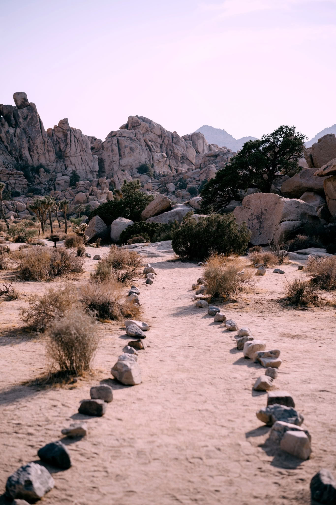 Dangiškas savęs atradimas - Palm Springs