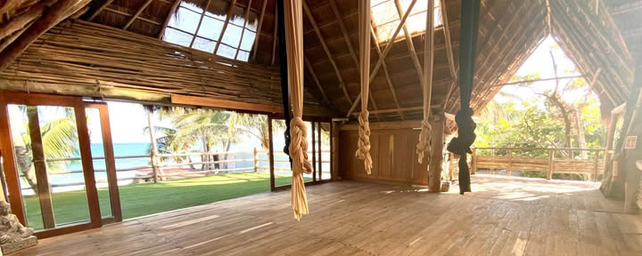 Aerial Silks seminaras