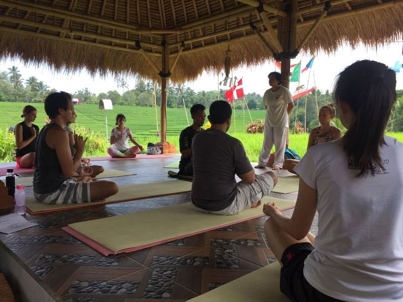 BALIGRASS - savęs gydymas su senovės ir meditacija