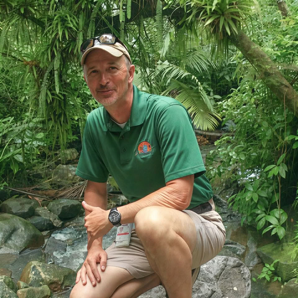 El Yunque atogrąžų miško naktinis pasivaikščiojimas