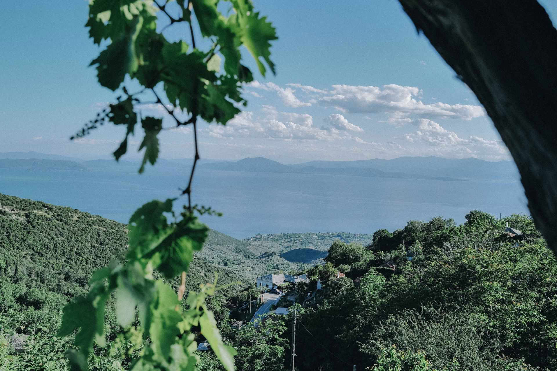 Kvėpavimo, kūno ir sielos retritas | 2026 m. liepa