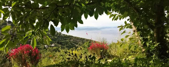 Saviatrankos retritas