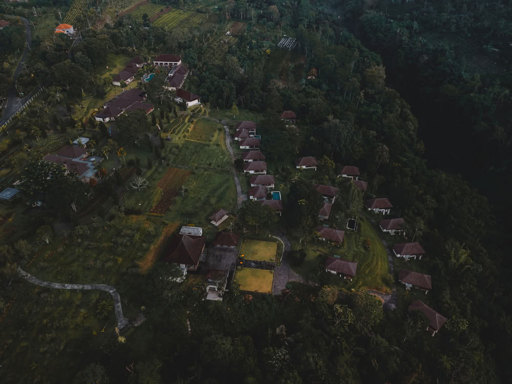 200 valandų jogos mokytojų rengimo kursai Pelagoje, Balyje – 2026 m. spalio 26 d. – lapkričio 14 d.