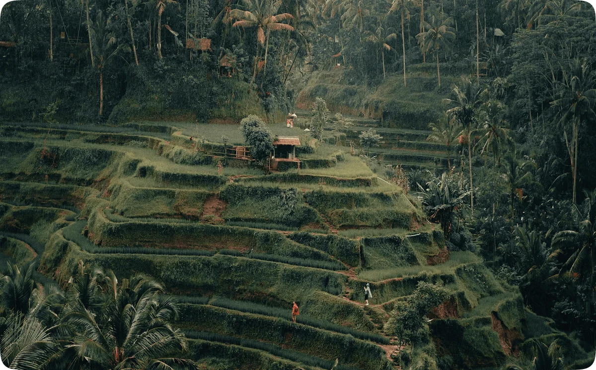 200 valandų / 300 valandų hibridiniai jogos mokytojų mokymai – 2026 m. spalio 1 d. – spalio 14 d.