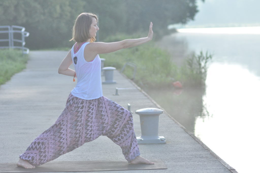 Qi Gong seminarai