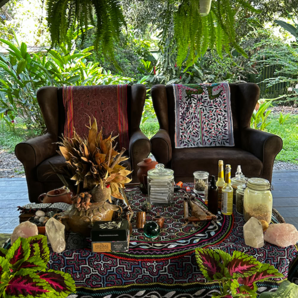 Namų šventovės ayahuasca retritas – liepos 18–25 d.