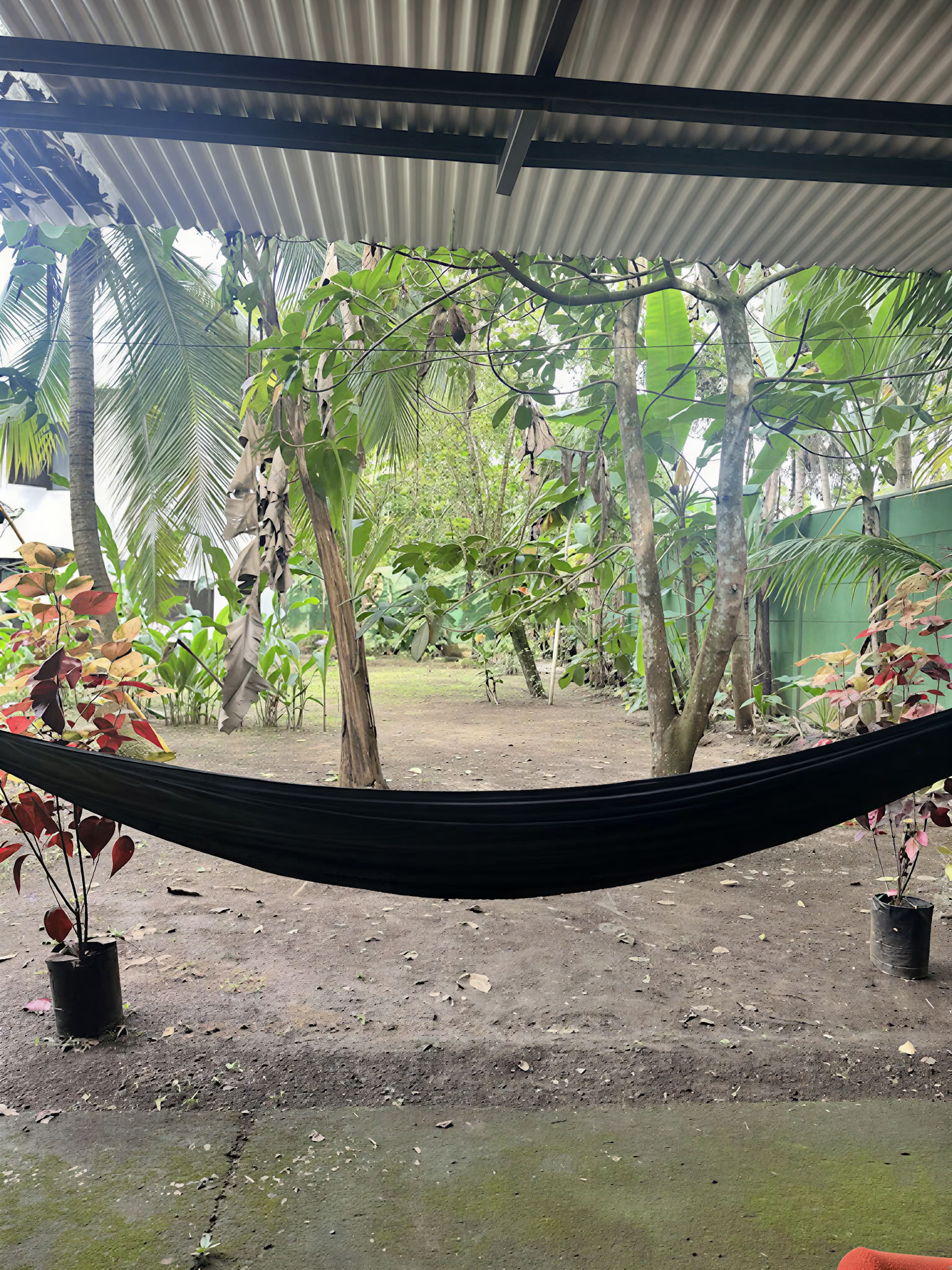 Namų prieglobsčio ayahuaskos retritas – rugpjūčio 22–29 d.