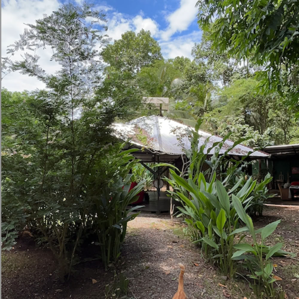 Home Sanctuary Ayahuasca retritas – 3 - 10 spalio