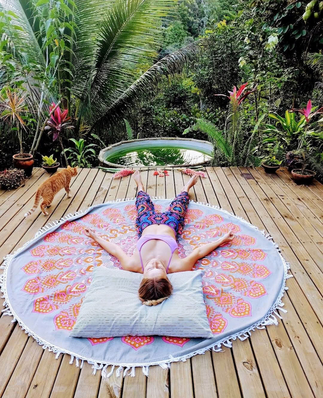 4 dienų privatus ayahuasca retritas