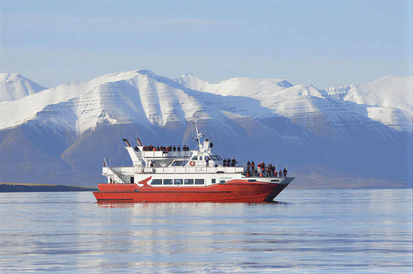 Akureyri banginių stebėjimas