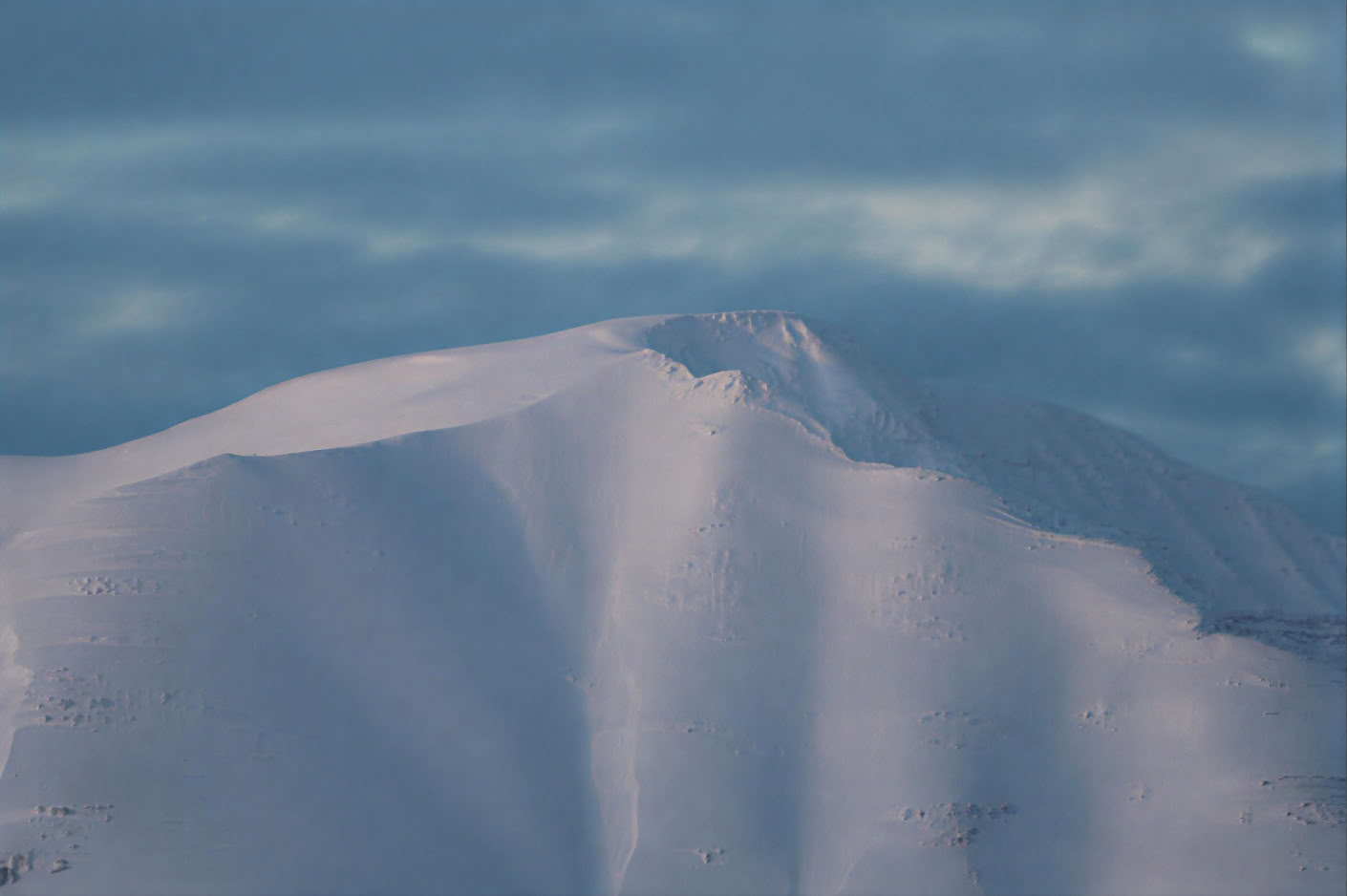 Akureyri banginių stebėjimas