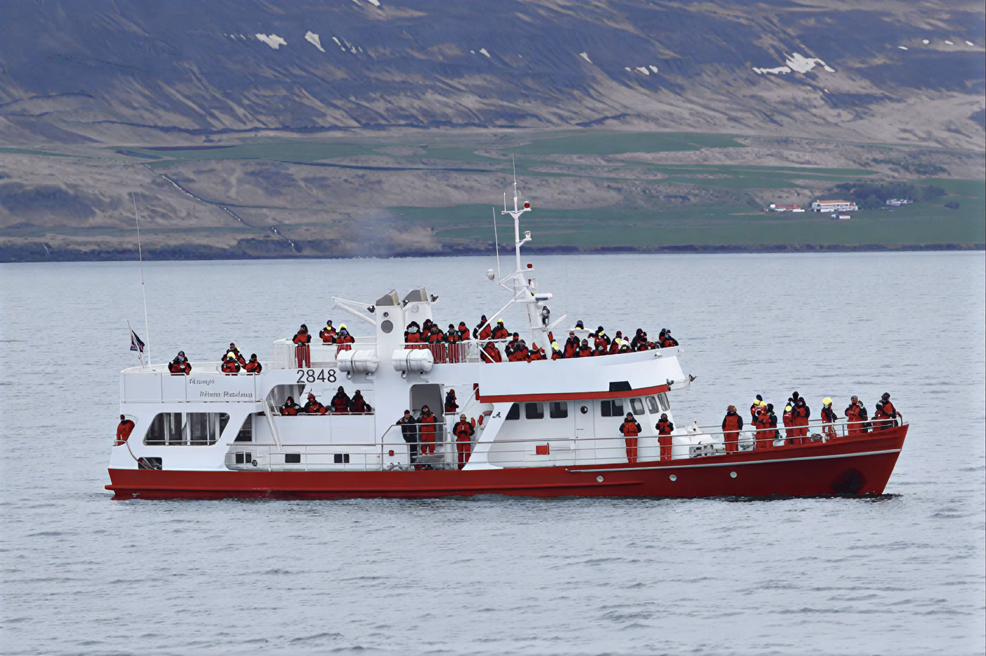 Akureyri banginių stebėjimas