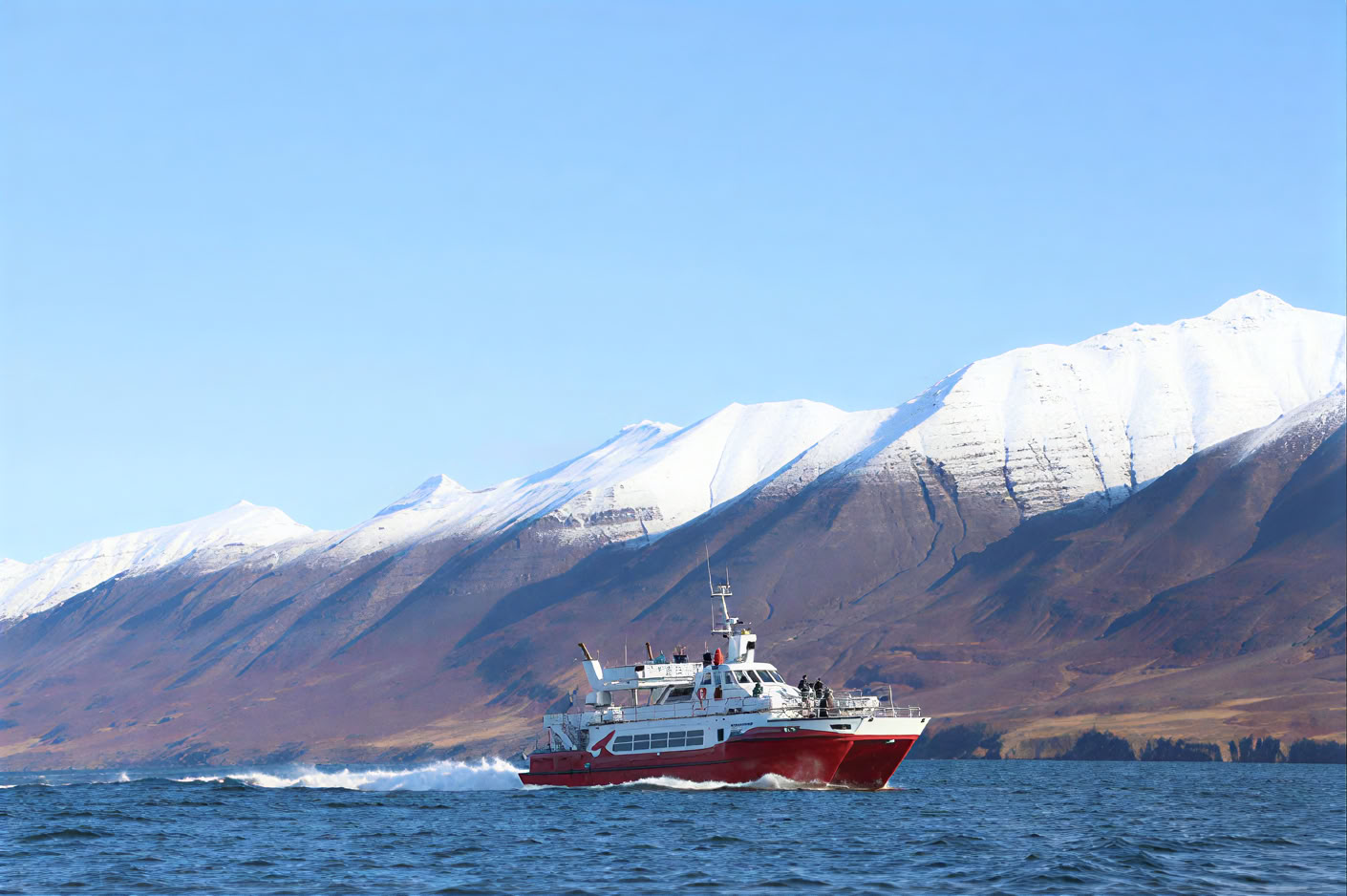 Akureyri banginių stebėjimas