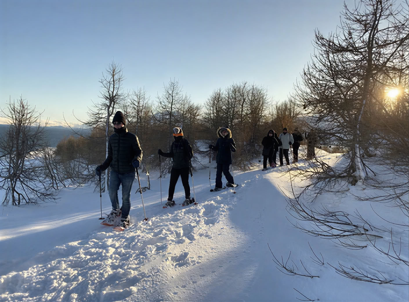 Jogos retritas po Šiaurės pašvaistėmis Islandijoje – datos 2026 m. žiemą