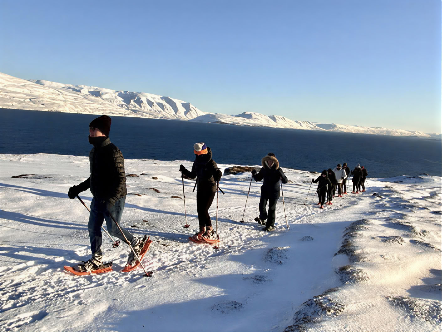 Jogos retritas po Šiaurės pašvaistėmis Islandijoje – datos 2026 m. žiemą