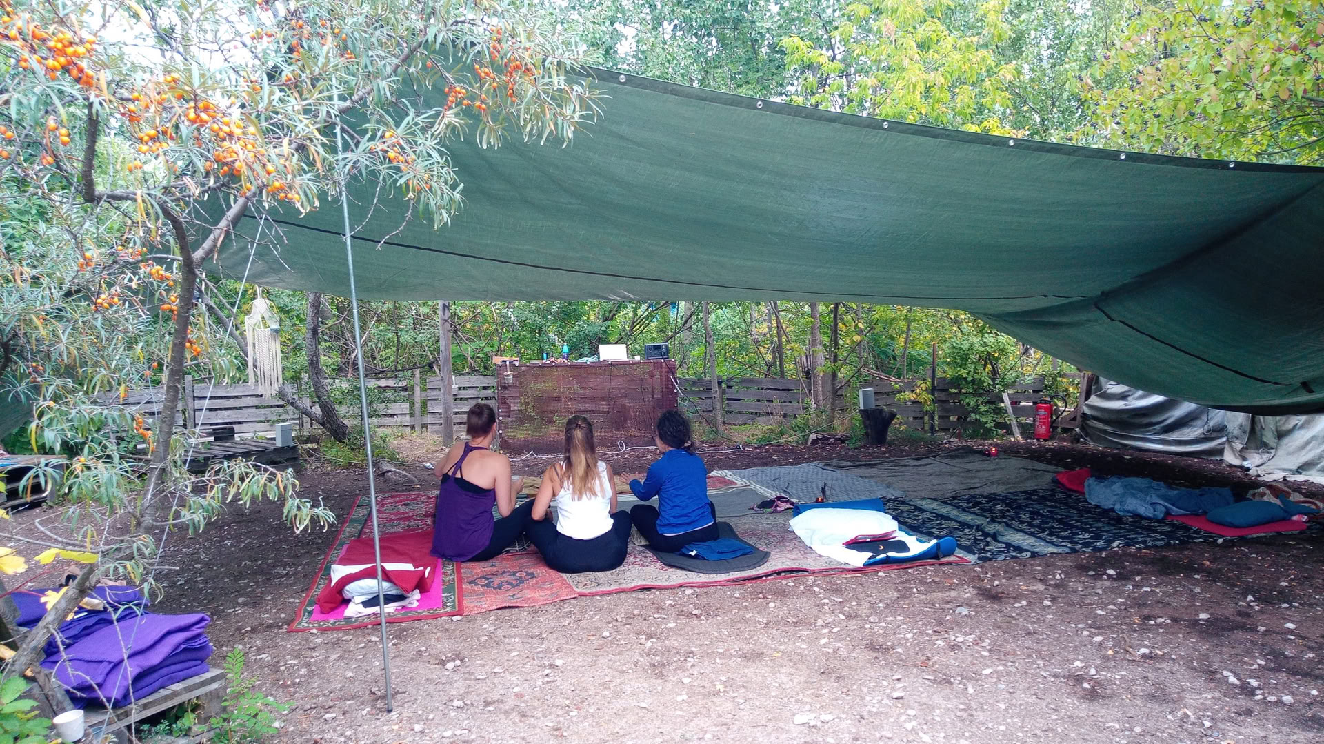 Wild Breathwork Berlin – Kvėpavimo praktikos kelionė po atviru dangumi