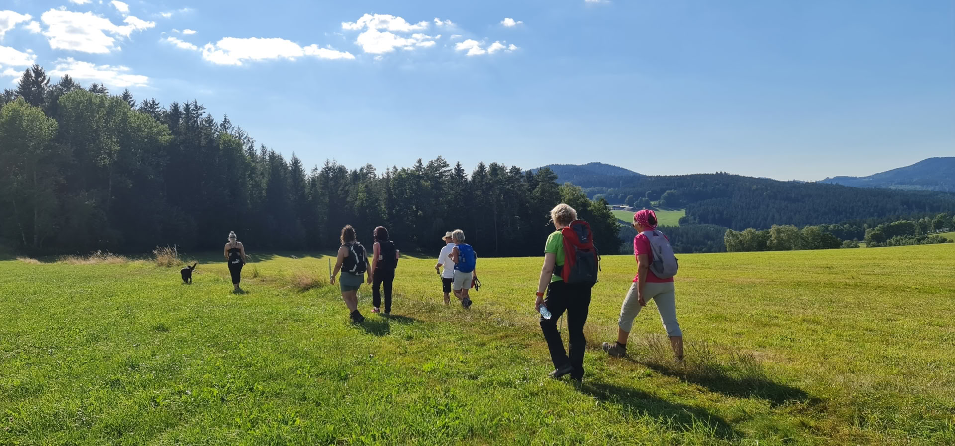 Badavimo kursas su žygiais ir joga