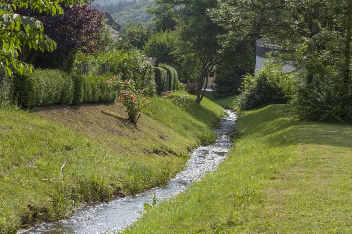 Badavimo kursas su žygiais ir joga