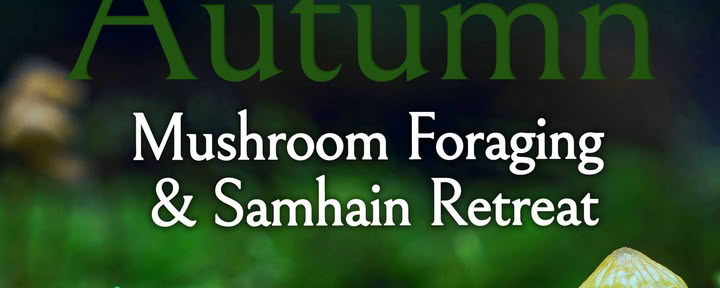 Rudens Samhain laukinės gamtos rinkimo retritas