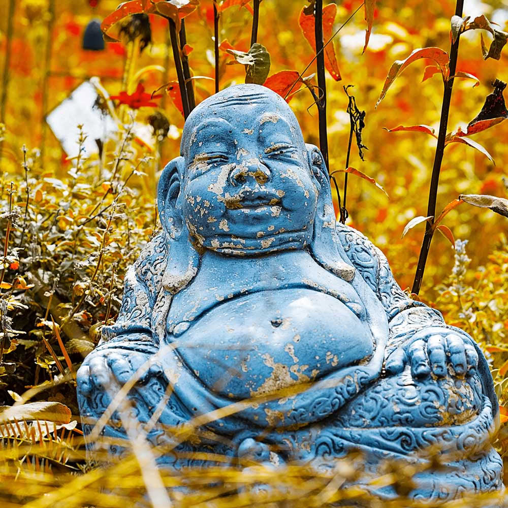 Dėmesingo buvimo meditacija: įvadas