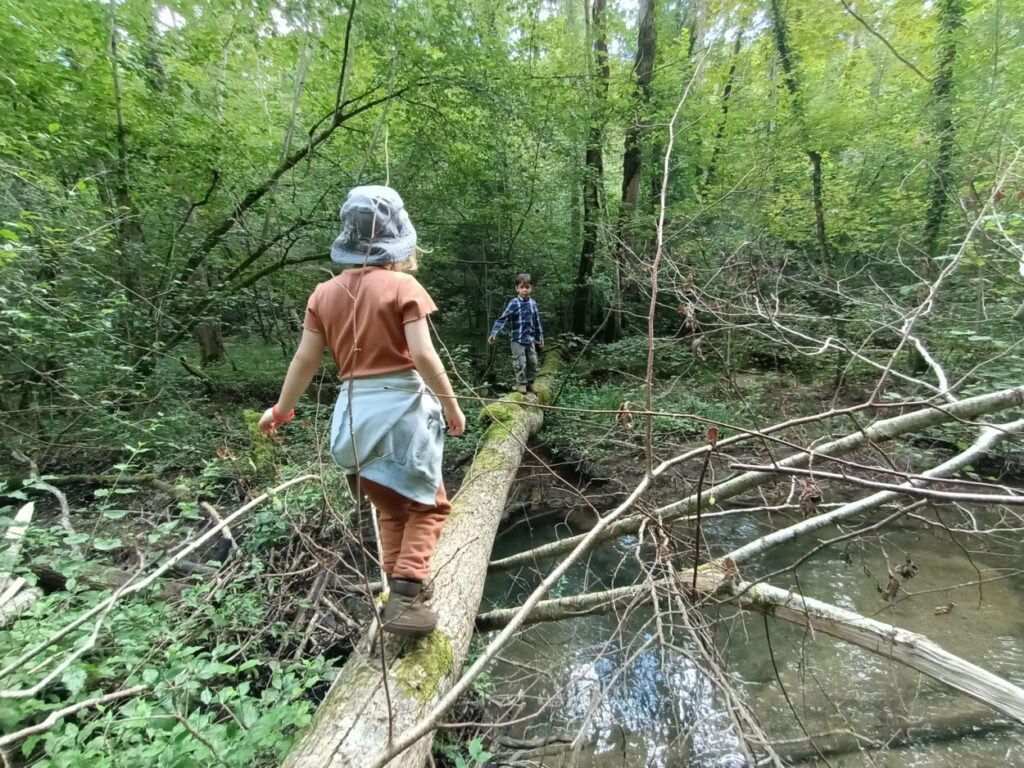 Apie hobitus, elfus, nykštukus, žmones ir burtininkus: vaikų savaitė su Richardu